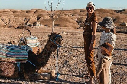 Agafay Desert Adventure: Camel Ride and Dinner Under the Stars
