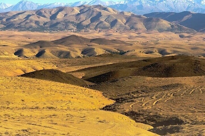 Agafay Desert Adventure: Camel Ride and Dinner Under the Stars