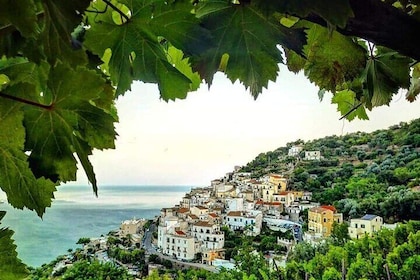 Amalfi Coast Hike and Wine Tour in Vietri