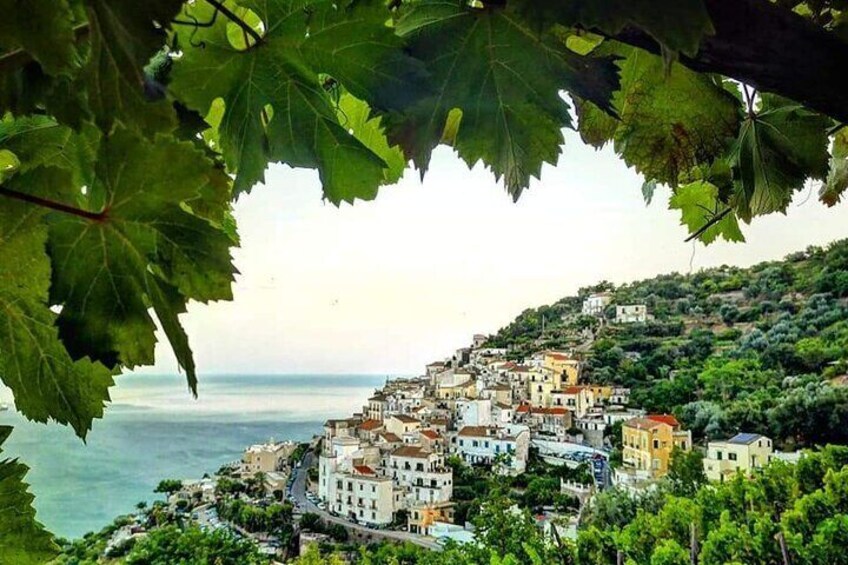 Amalfi Coast Hike and Wine Tour in Vietri