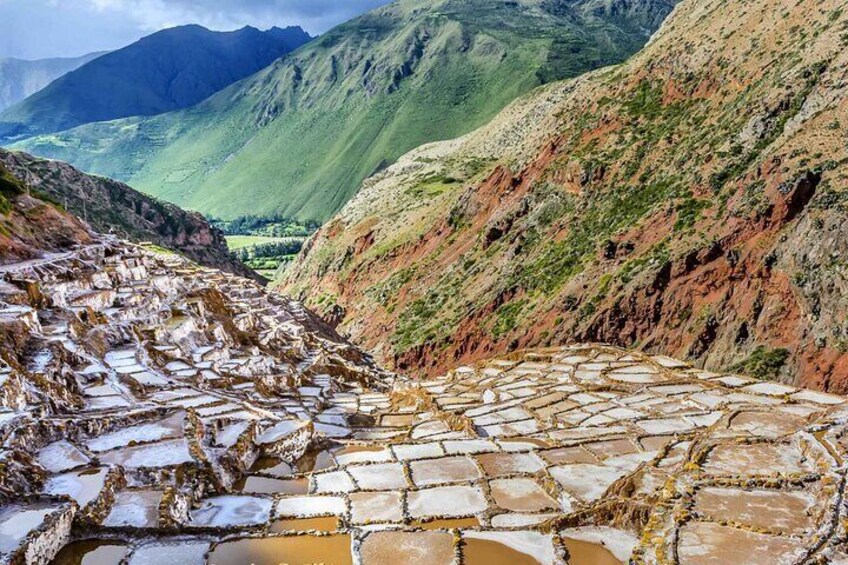 Maras