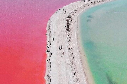 Las coloradas and río lagartos, a daily scape to paradise