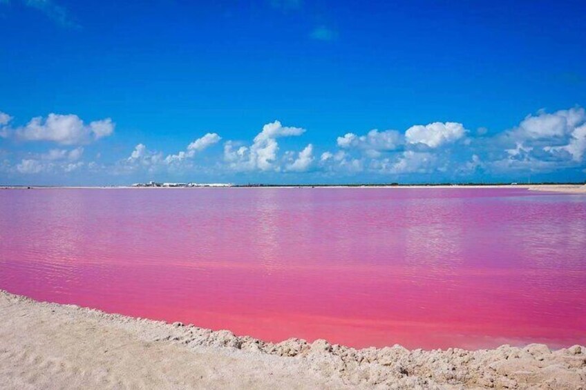 Las coloradas and río lagartos, a daily scape to paradise