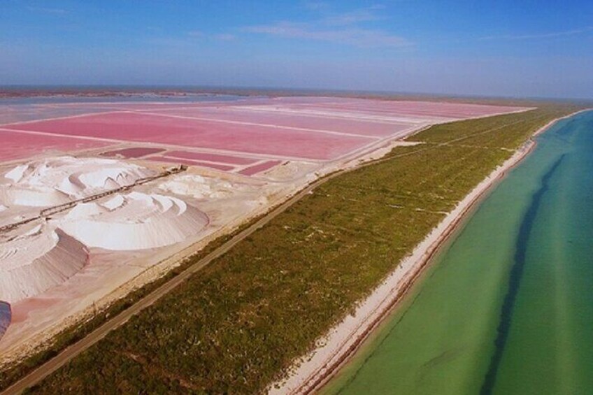 Las coloradas and río lagartos, a daily scape to paradise