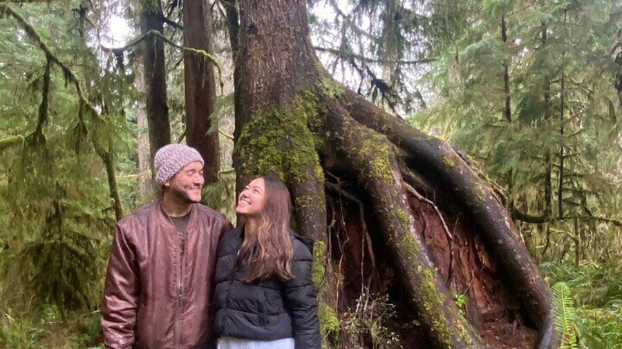Rainforest magic and Olympic National Park Highlights