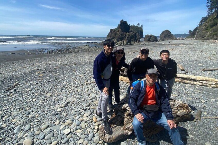 Rainforest magic and Olympic National Park Highlights