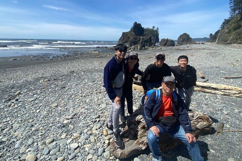 Rainforest magic and Olympic National Park Highlights