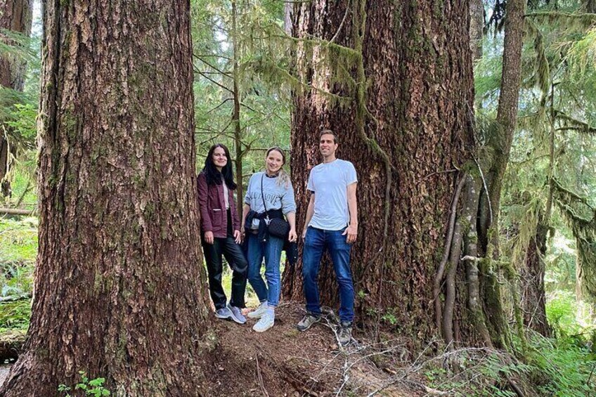 Rainforest magic and Olympic National Park Highlights