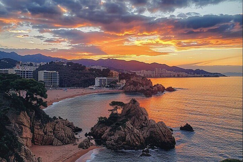 Sunset Tour to Marimurtra Garden and Blanes from Barcelona