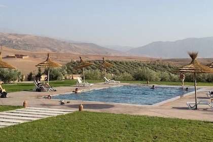 Horseback Ride and Atlas Mountain Zipline Adventure