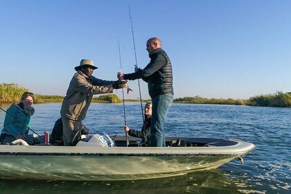 3 Hour Tiger Fishing Safari on the Chobe River