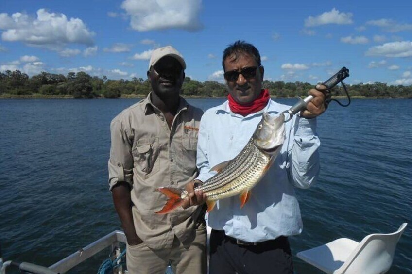 3 Hour Tiger Fishing Safari on the Chobe River