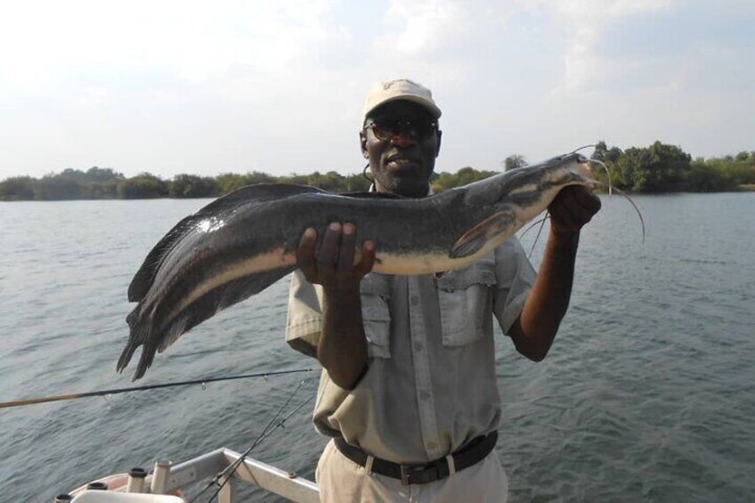 3 Hour Tiger Fishing Safari on the Chobe River