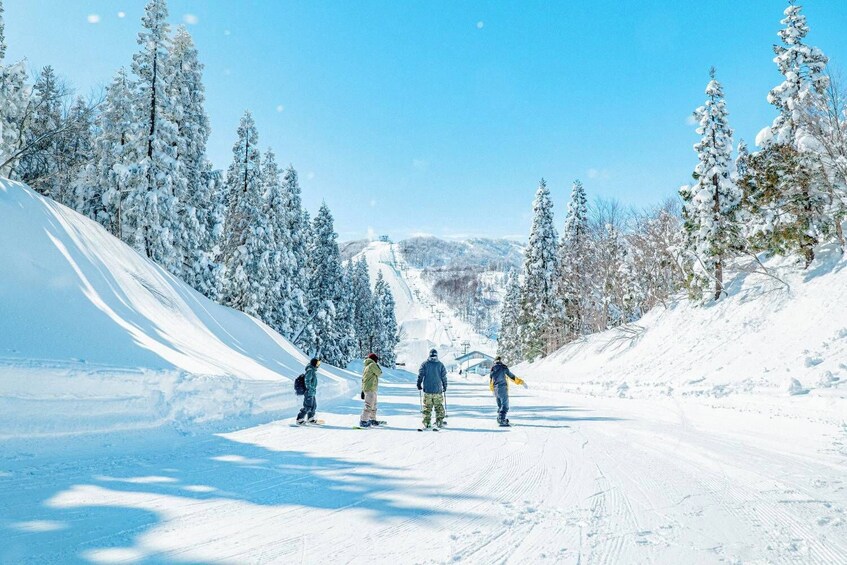 Niigata: Gala Yuzawa Lift Ticket & Gear Rental Packages (1 day)