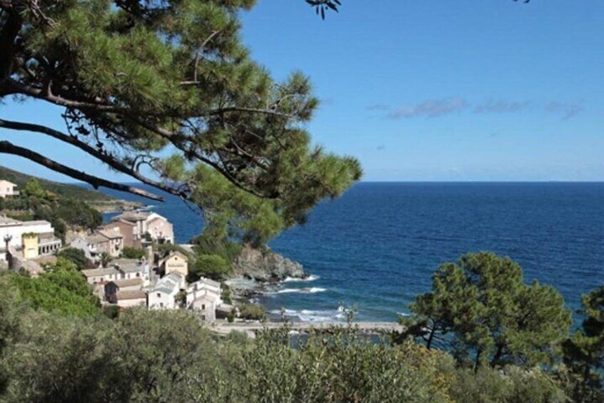 Cap Corse between Vineyards and Fishing Village 