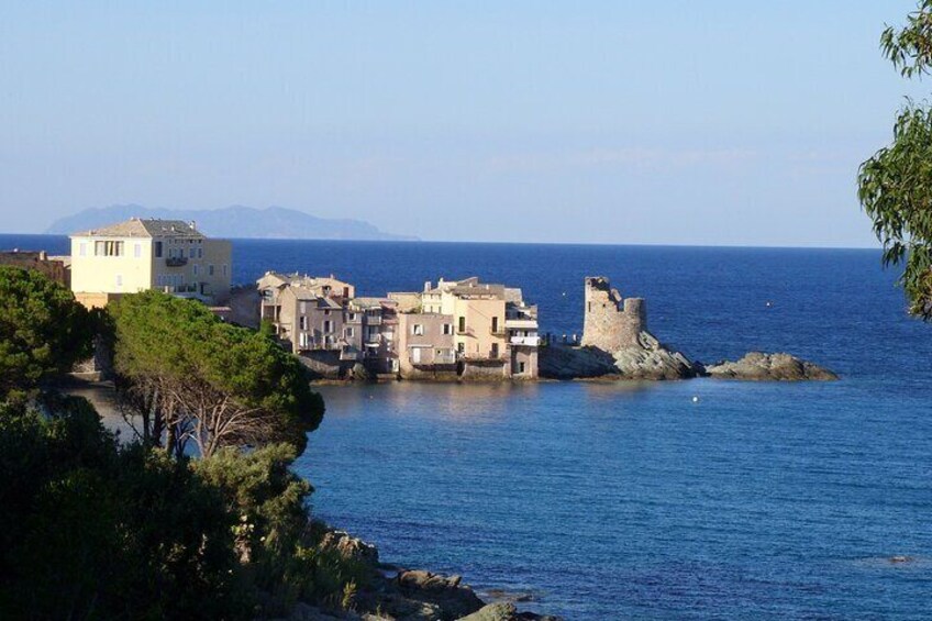 Cap Corse between Vineyards and Fishing Village 