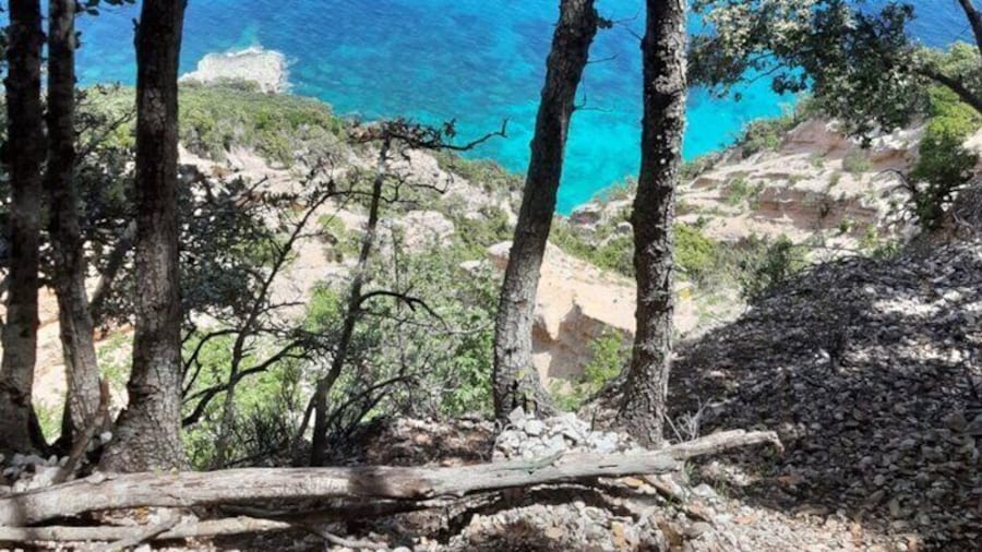 Baunei Trekking to Cala Mario