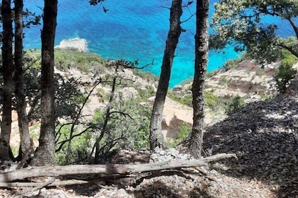 Baunei Trekking to Cala Mariolu