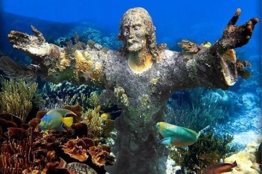 Snorkeling Jesus Christ Statue Trip with Captain Stewys Charters Key Largo