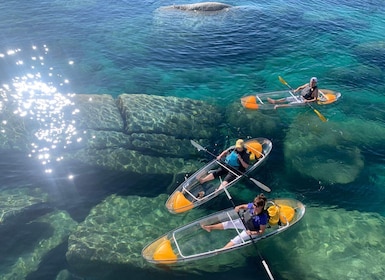 Lake Tahoe: Clear Kayak Tour From Sand Harbour State Park