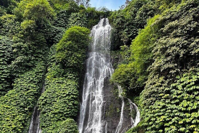 Bali Dolphin Watching and Waterfall