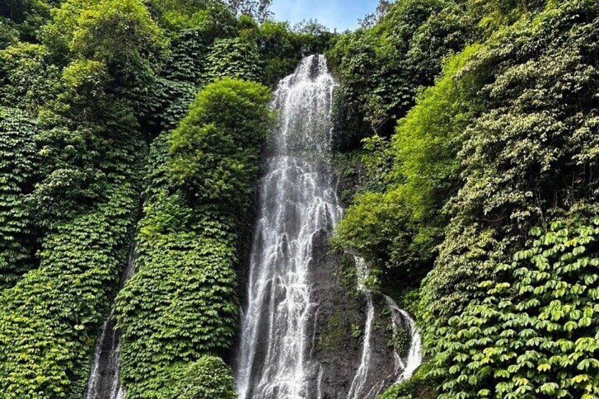 Bali Dolphin Watching and Waterfall