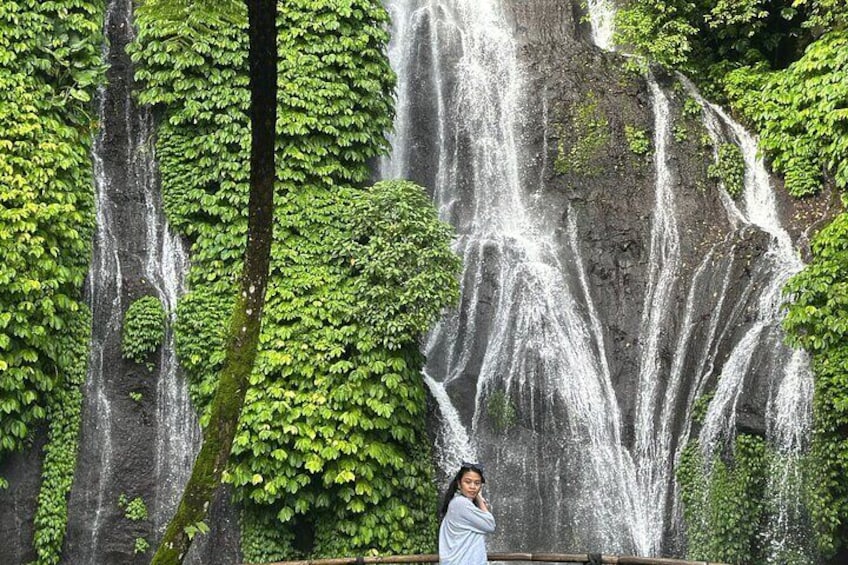 Bali Dolphin Watching and Waterfall