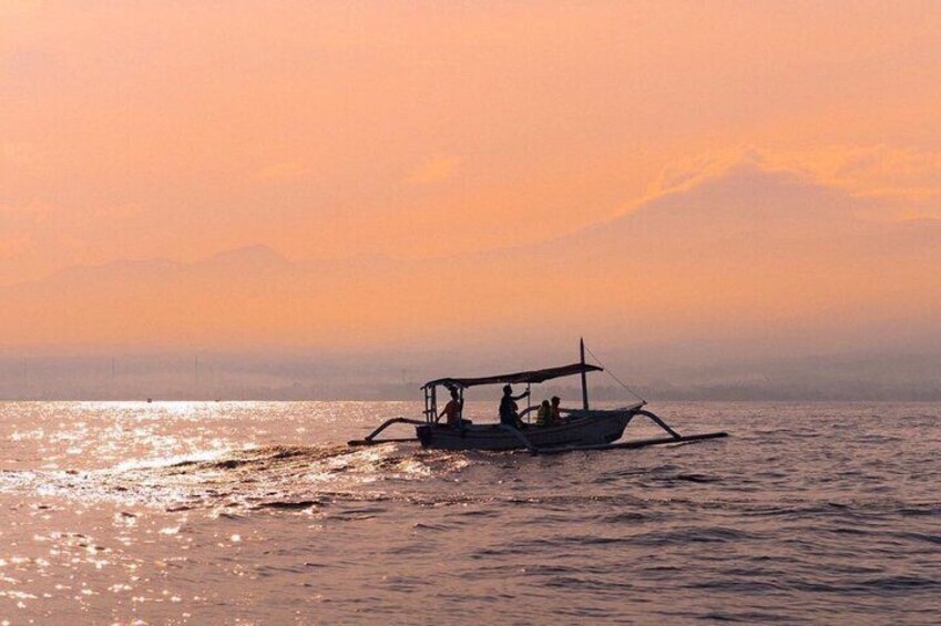 Bali Dolphin Watching and Waterfall