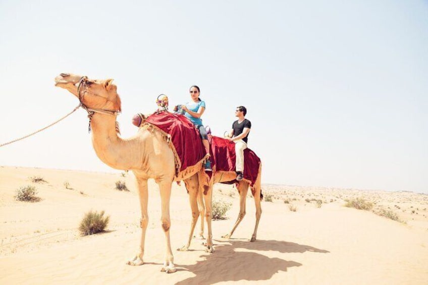 30 minutes camel ride in dubai 