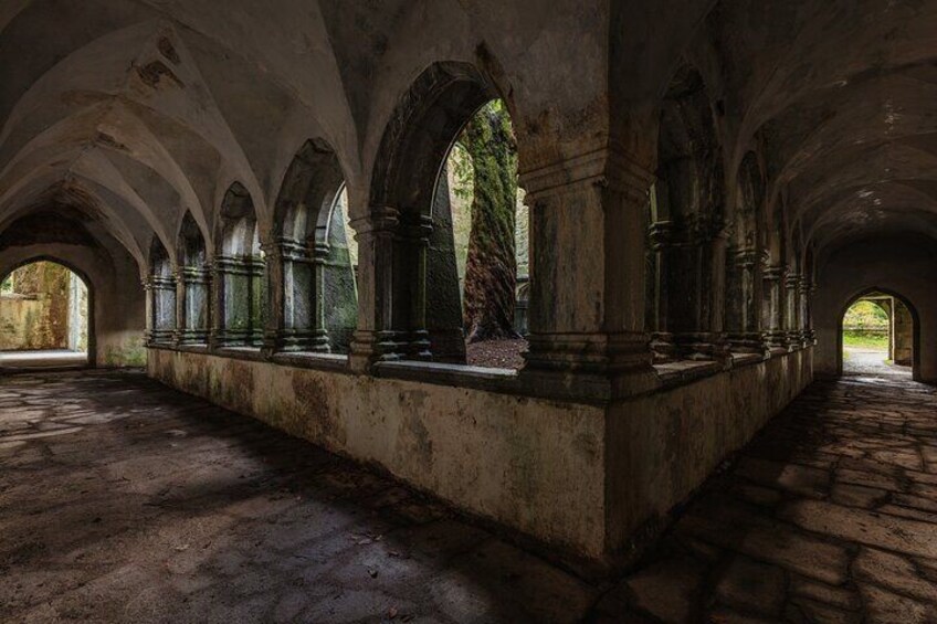 Vaulted cloister and Yew Tree Muckross Abbey