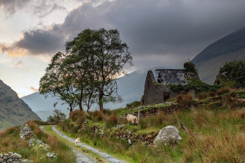 Molly's Cottage at Sunset