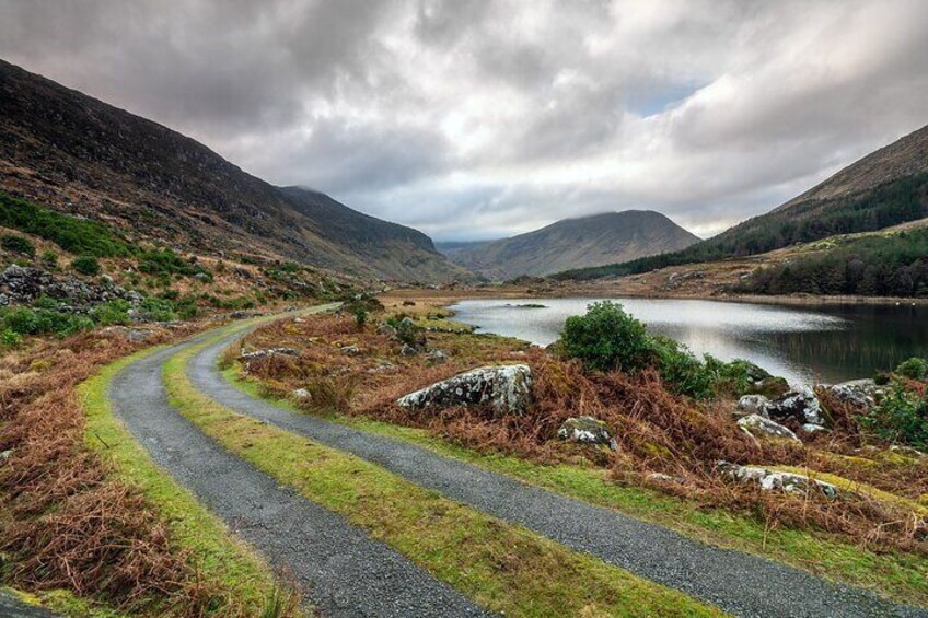 Bearded Road in the Black Valley 