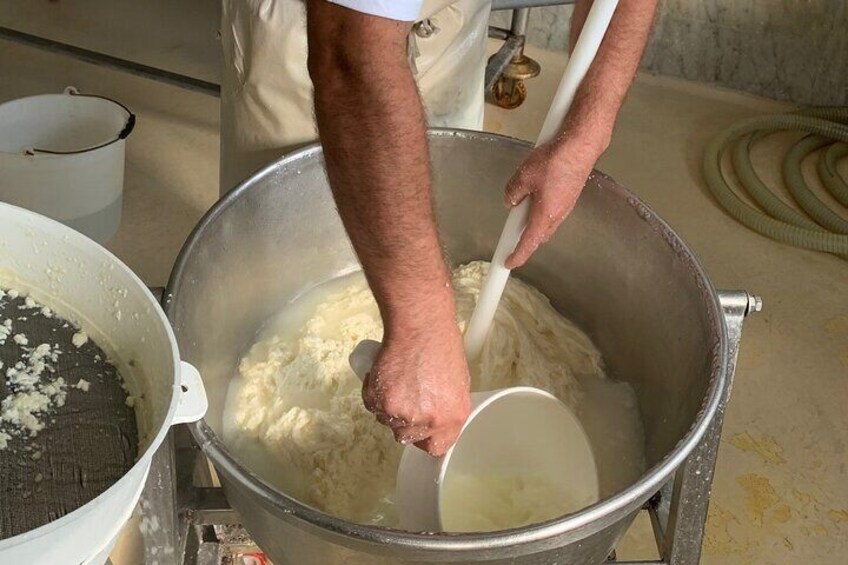 Mozzarella experience and tasting in Naples