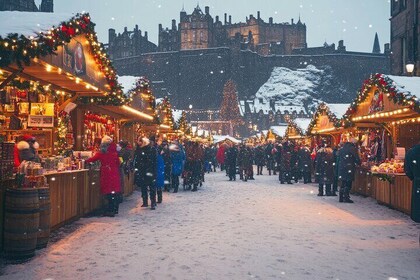 Festive Private Edinburgh, Christmas Market & Botanic Garden Tour