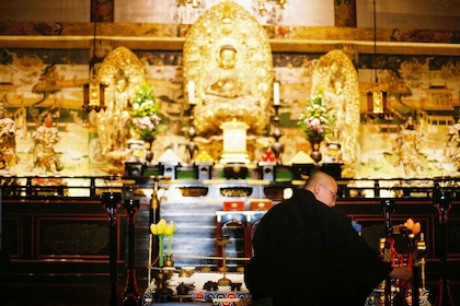 Kyoto: Kinkakuji and Ninnaji Temple with Monk Insights