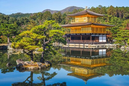 Kyoto: Kinkaku-ji Temple & Serene Garden Tour with Tickets