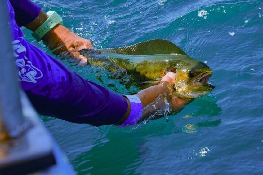 Sport Fishing in Sayuita