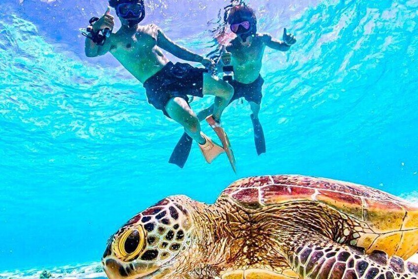 Okinawa Miyako Sea turtle Snorkeling Free Pick up and Drop off