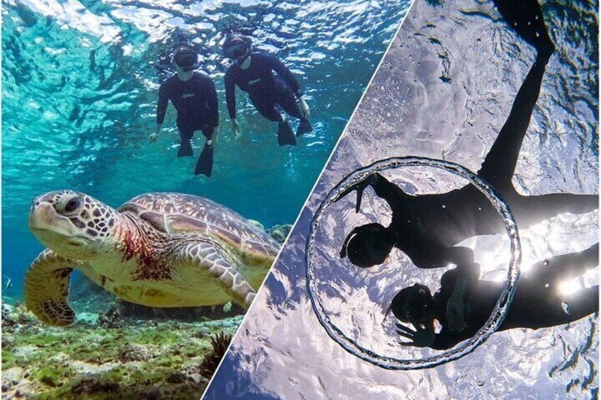 Okinawa Miyako Sea turtle Snorkeling Free Pick up and Drop off