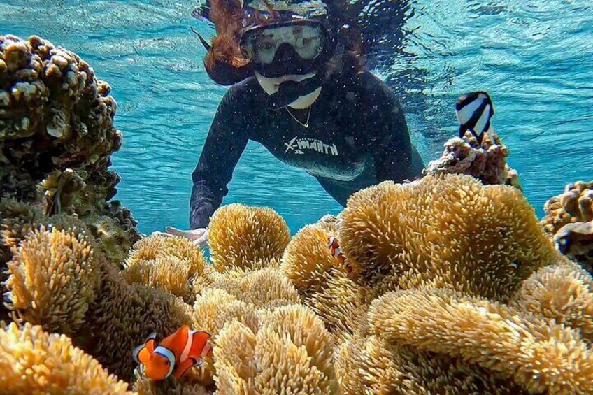 Okinawa Miyako Sea turtle Snorkeling Free Pick up and Drop off