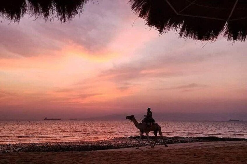 Day Use on the Red Sea Beach (Moses Coast)