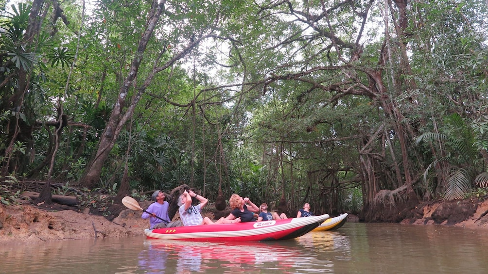 The Lost Zone Amazone & Old Town with Lunch