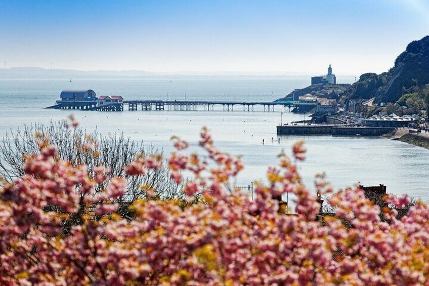 From Cardiff: Golden Gower Coast, Swansea & Mumbles Day Tour