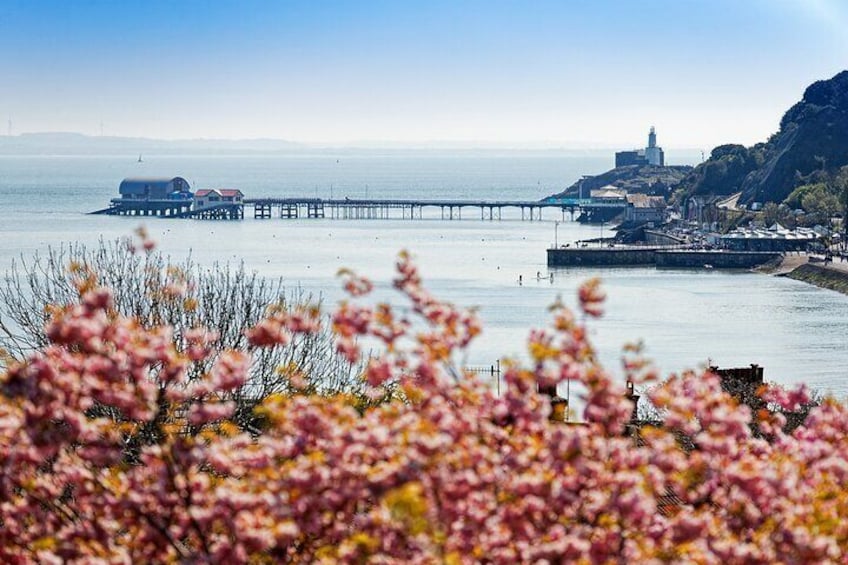 From Cardiff: Golden Gower Coast, Swansea & Mumbles Day Tour