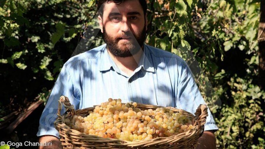 Wine Tours in Georgia – Old Traditional Kvevri Winemaking Method