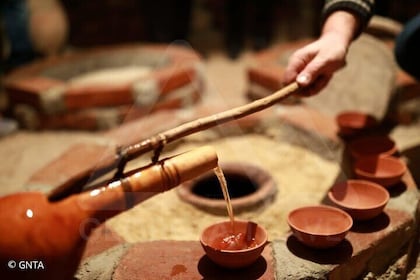 Tour enológico de Kajetia - Explora el arte de la vinificación de Kvevri