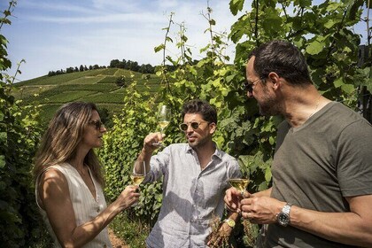 Alsace Classic Private Wine Tour from Basel or Mulhouse