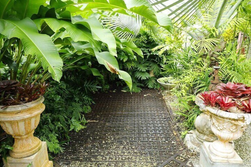 Hunte's Gardens
