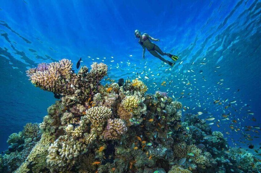 Bali Snorkeling at Blue Lagoon with Private Transfer