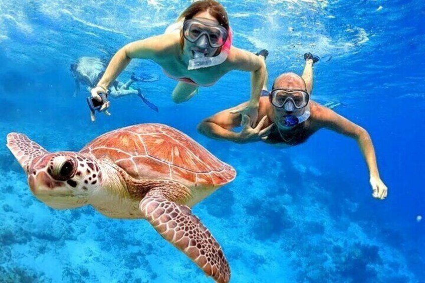 Bali Snorkeling at Blue Lagoon with Private Transfer
